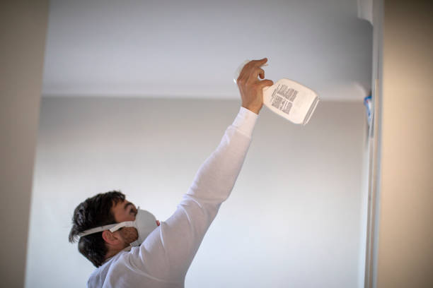 Best Certified Mold Removal  in Essex, IL